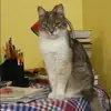 Отзыв от Жанна Дубова